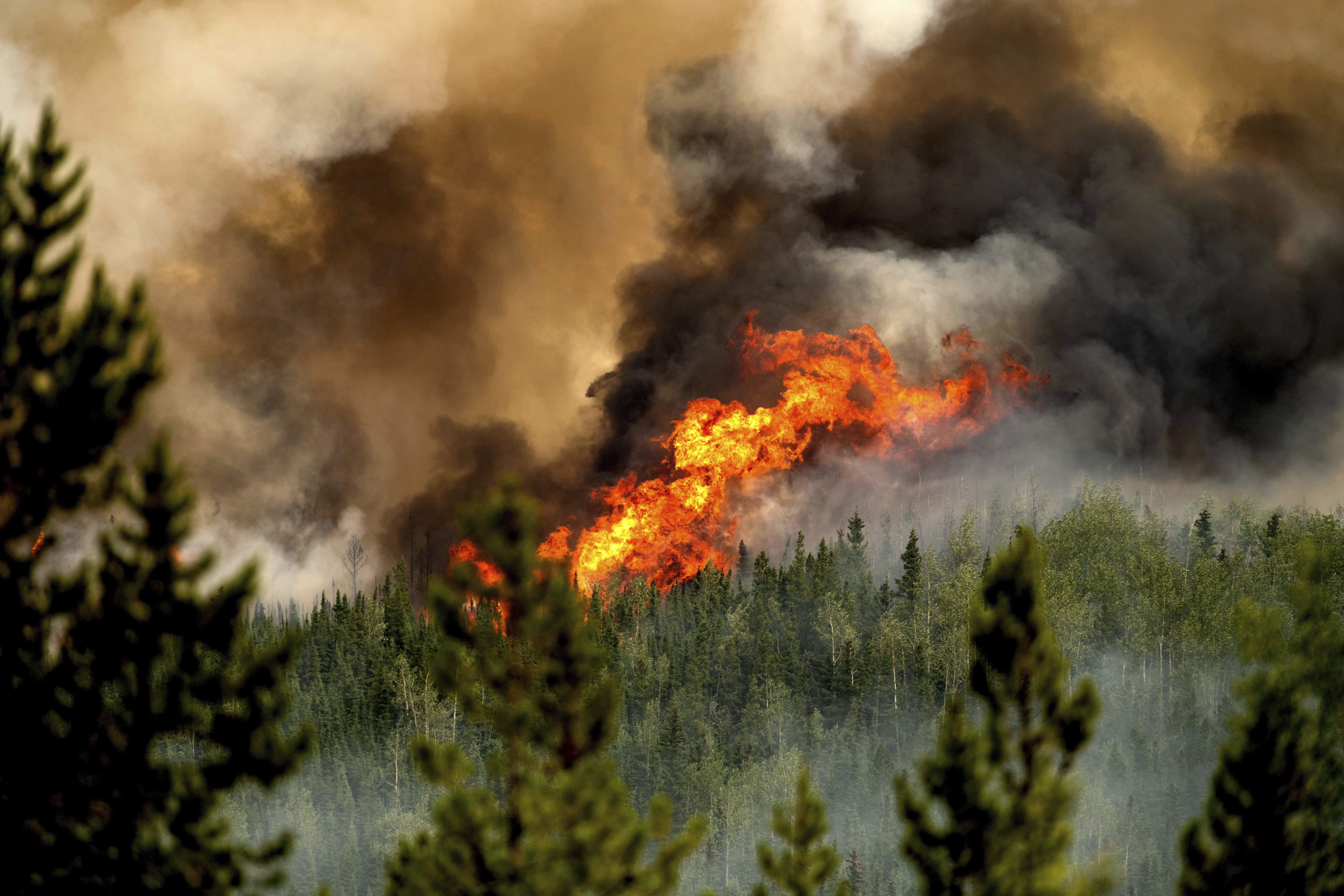 加拿大：林火持续