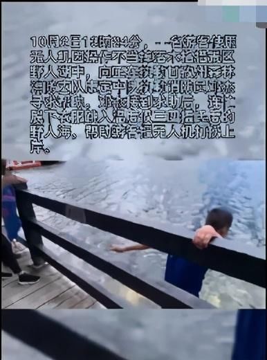 巨婴|不听劝阻，出事却来求助：长不大的“巨婴”闹剧，谁来管管？