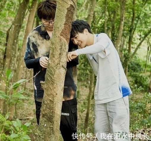 迎来|《向往的生活》迎来最强“关系户”,刚进门就挑剔,黄磊也被嫌弃