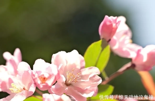  有福气|越胖越有福气的四个生肖女，天生的贵命，是最不应该减肥的生肖