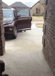 GIF|搞笑GIF:妈妈内心受到10000点伤害