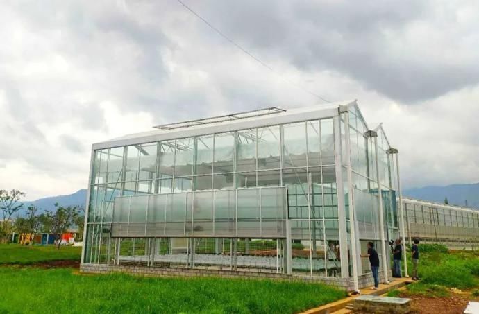 草莓种植|「科技农人」,可能是未来的当红职业