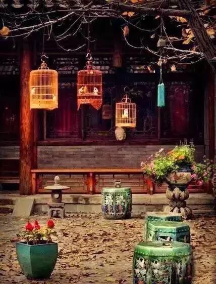  花园|有庭院的人，一定会懂生活