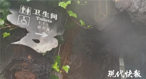 没想到|吴承恩故居现“水帘洞”,游客:没想到跟厕所合影得排队