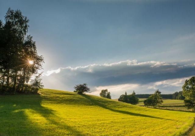  频发|人生迎春天！8月17号起好运频发，3生肖事业登高峰，财运一路升！