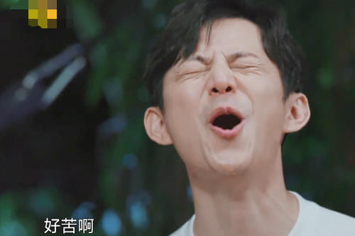  再也|向往：何炅终于说“实话”了？吃完黄磊做的菜后，再也夸不出来