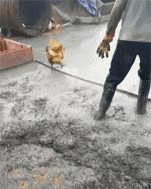 盾牌|搞笑GIF趣图：兄弟，你不如买个盾牌得了，吓成这样