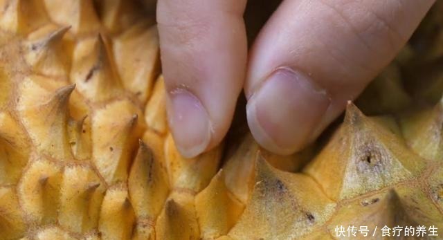 榴莲|一颗榴莲树能长很多榴莲,为什么榴莲还那么贵呢