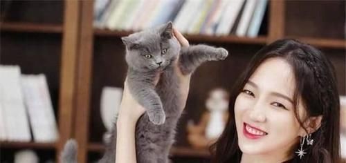  跌宕起伏|乘风破浪的孟佳：出道十年，跌宕起伏，每一次人生经历都不被错付