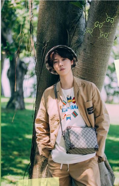  人员|鹿晗街头遭遇小学生狂热猛拍，安保人员拦都拦不住！