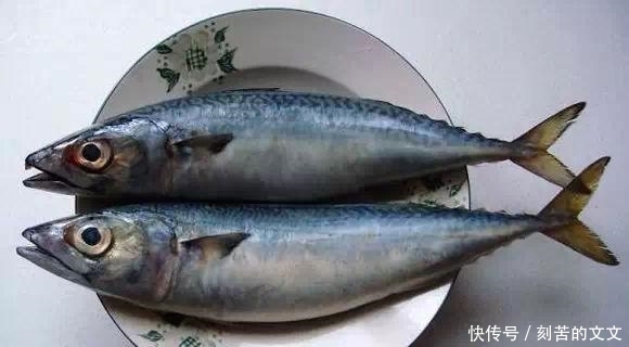  认出|海鲜大全, 你能认出多少