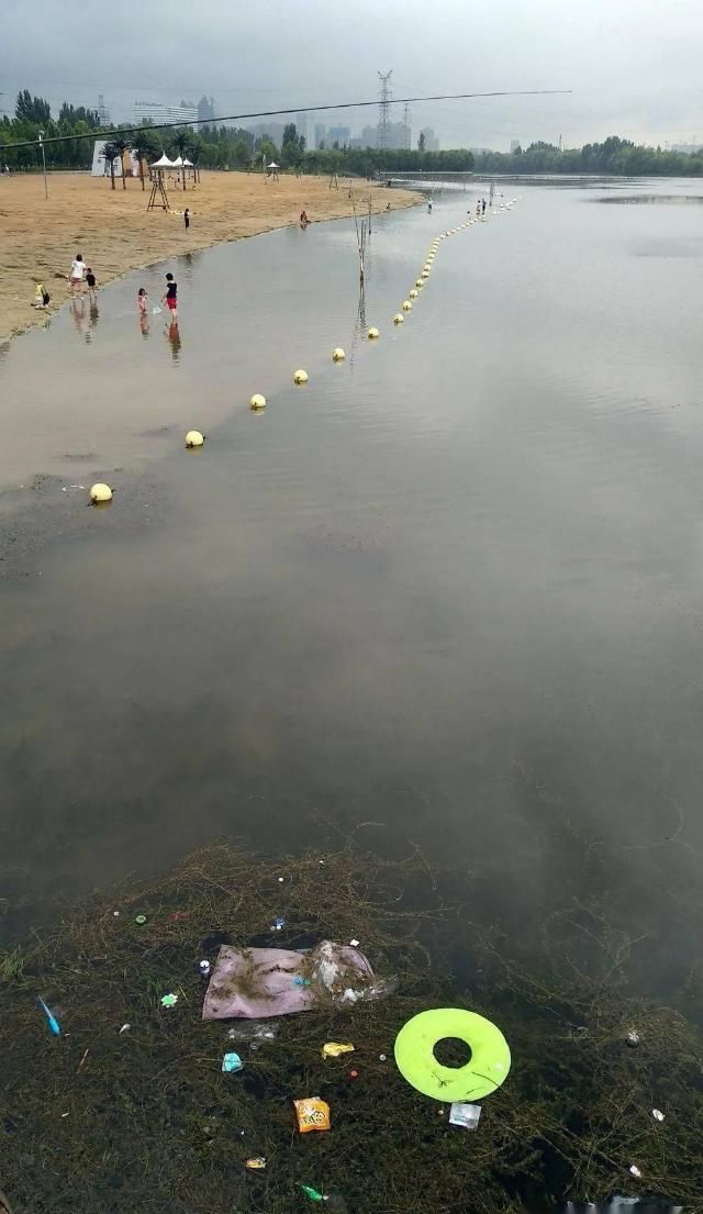  出行|【百姓大爆料】河面飘浮垃圾市民希望快清理|排查危险树木确保市民降雨天出行安全|汽车停这儿 人走哪儿？