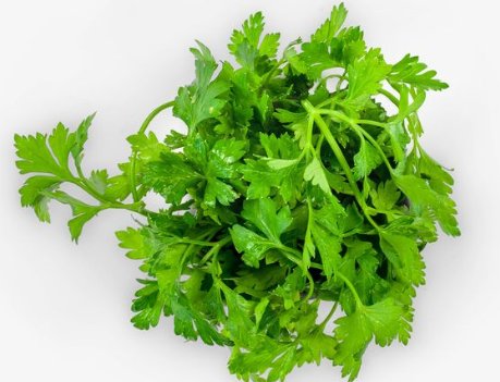 莲藕|2块钱一斤，比莲藕山药还便宜，健脾开胃又消食，秋后正当吃