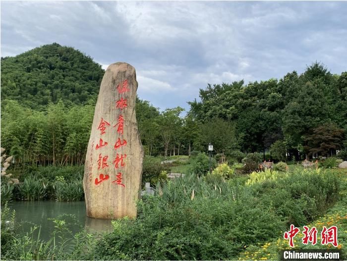  小康|浙江：把全面小康写在绿水青山上