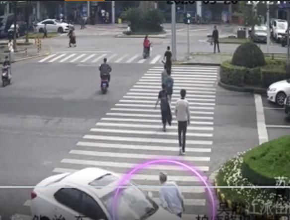 不该|苏州昆山 机动车未礼让行人，这样的悲剧不该发生！