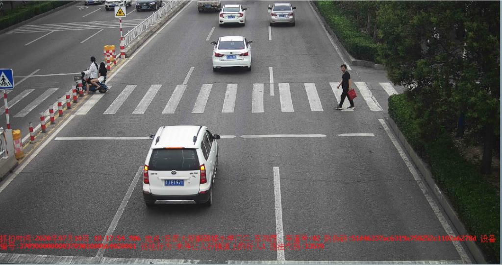 曝光|泰安这些车和人被警方曝光！原因是……