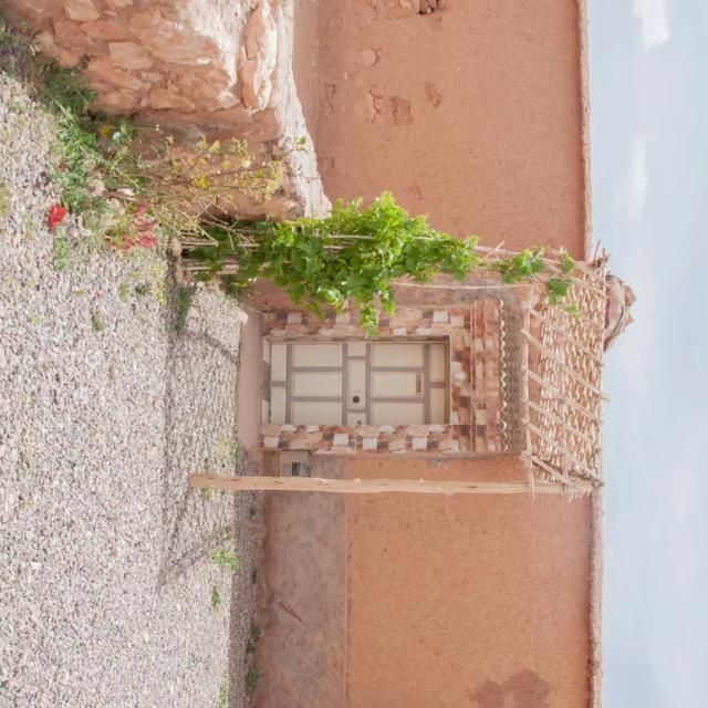  shui|陈燕：光不度，shui水成文