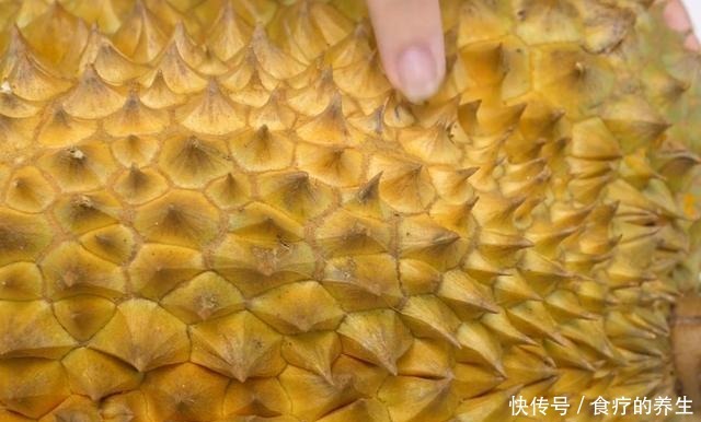 榴莲|一颗榴莲树能长很多榴莲,为什么榴莲还那么贵呢