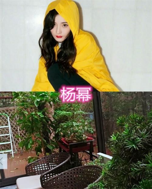 嘉宾|密逃嘉宾的家都什么样？大张伟的花哨，郭麒麟的杂乱，看到杨幂：厉害了