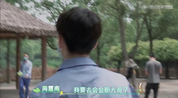  吓到|R1SE小团综：何洛洛给羊驼剪毛吓到周震南，任豪气场压制河马