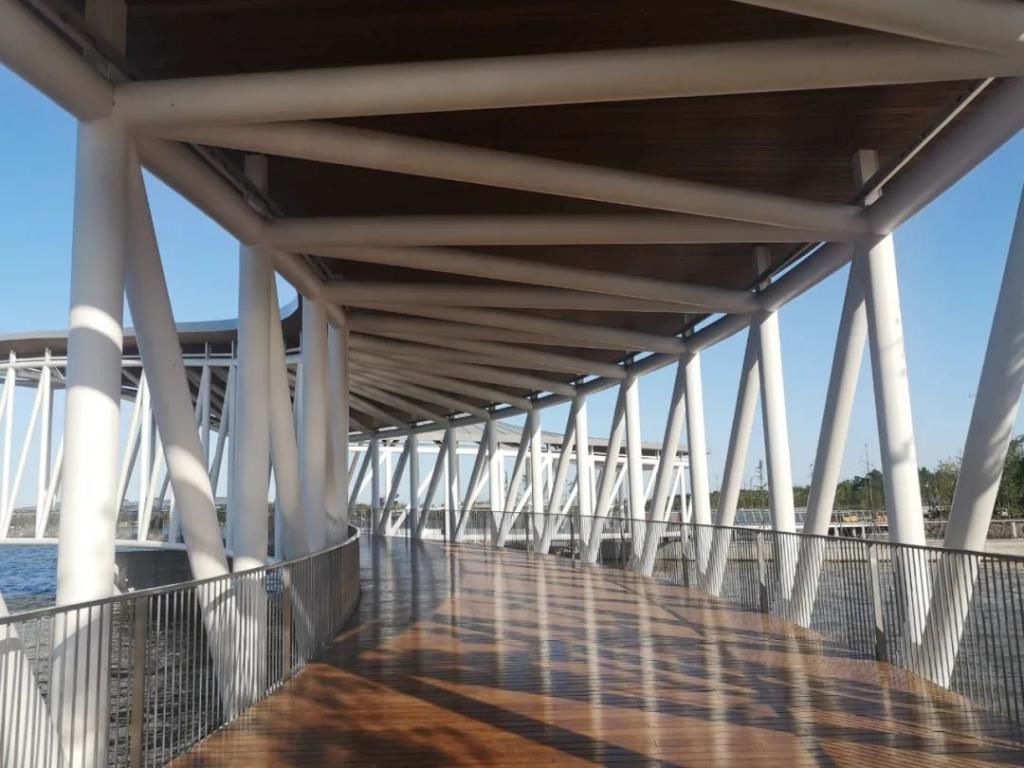 网红|【探索】滴水湖4座“网红”景观桥亮灯啦!快来先睹为快