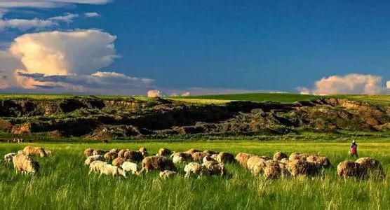 战略|一组游牧民族的知识；内燃机和铁路终结了游牧帝国的战略优势