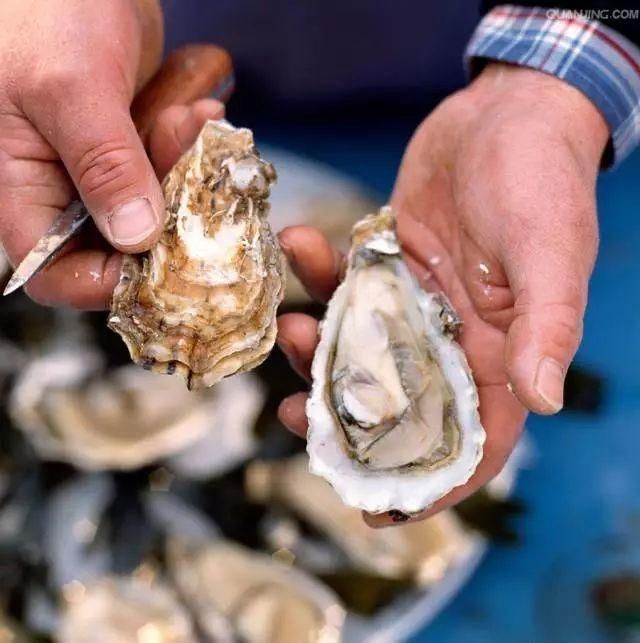 大鱼|青岛海鲜市场现一米多长大鱼！很多老青岛都不认识……