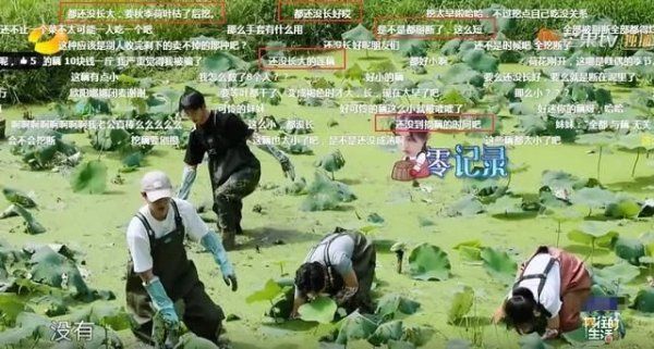  节目|《向往4》嘉宾挖藕被质疑是作秀，官博公开科普，打脸有点狠