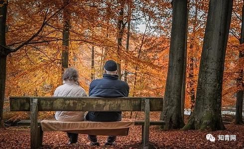  现实|“抱团养老”终散伙，亲历者讲述现实真相，太残酷