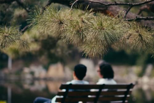  别错过|别错过，这热汗蝉鸣的夏天