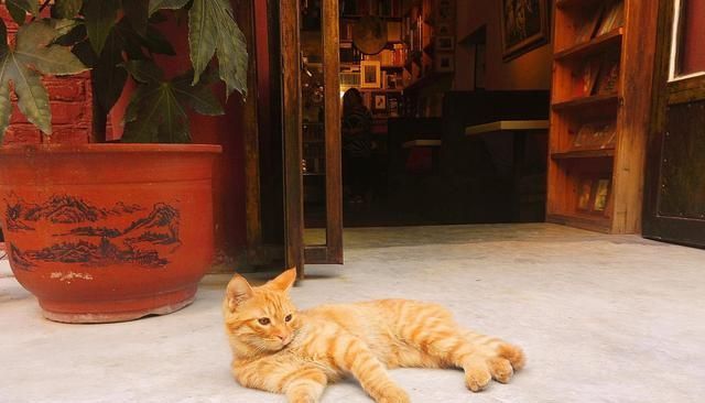 时光|愿你不争不抢,自有时光打赏