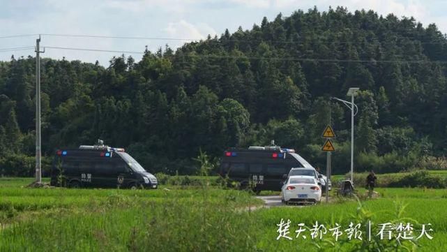 投案自首|5天杀3人！曾春亮落网！抓捕视频曝光！