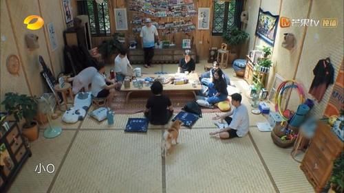  好看|《向往的生活》不好看了，这口锅四位常驻嘉宾也得背