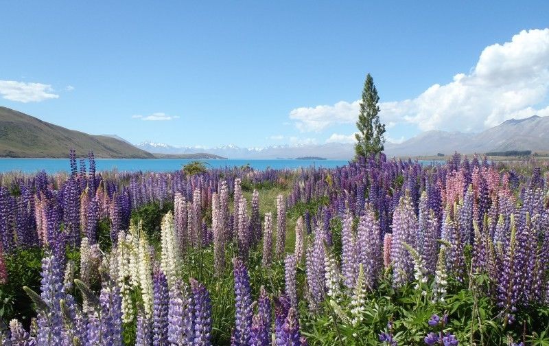  放手一搏|下个月，爱情甜蜜，沉淀旧爱，放手一搏，相守到白头的4大星座