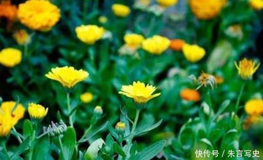 冯唐|冯唐:生活没那么复杂,不要脸就对了