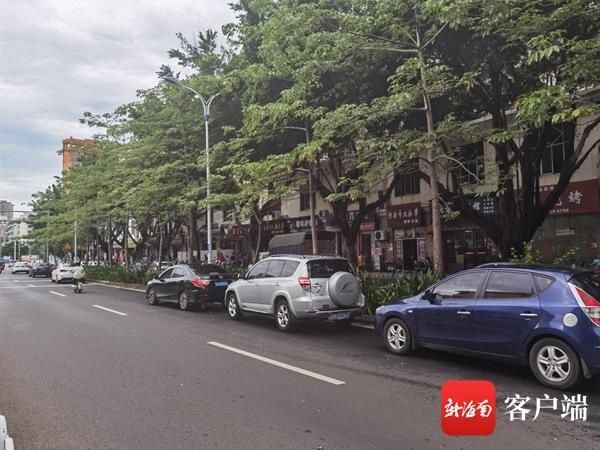 非机动车道|不文明交通行为曝光台 | 海口部分机动车行为扰人“忧”：“任性”停车、随意变道……