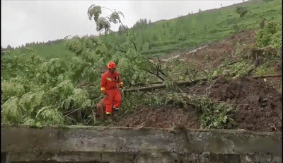  山体|山体滑坡搜救现场，搜救犬金毛为救人变“泥猴”