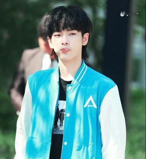  好听|周震南粉丝叫南极星，王晨艺粉丝叫小野兽，黄明昊粉丝名好听哭了