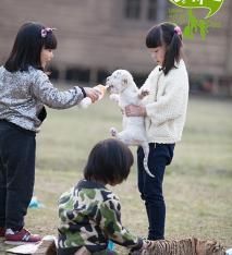  参加节目|昔日“跳水冠军”，晒出8岁儿子近照，爸爸基因遗传的一滴不剩