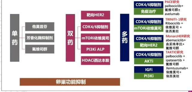  CSCO|CSCO 2020｜打好乳腺癌靶向治疗之战，如何排兵布阵？