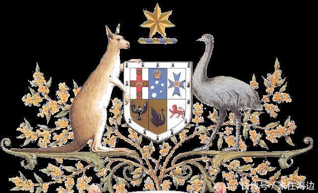 动物|世界上最奇葩的战争澳大利亚人和鸟干了一架，结果还战败了！