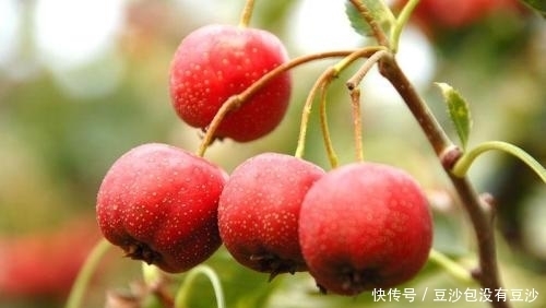 泡茶|十个人九个怕变老,每天用此物泡茶喝,血压不高了,皱纹也远离你