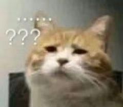  圈内|易烊千玺郭敬明轮番上阵，圈内顶流也带不动这个糊穿地心的节目？