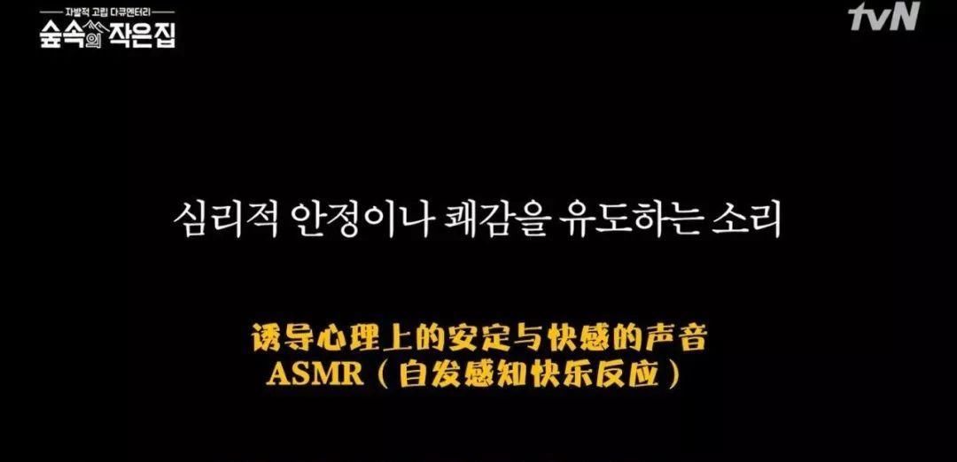 竟成|南韩口碑爆棚,“男神收割机”竟成实验对象?