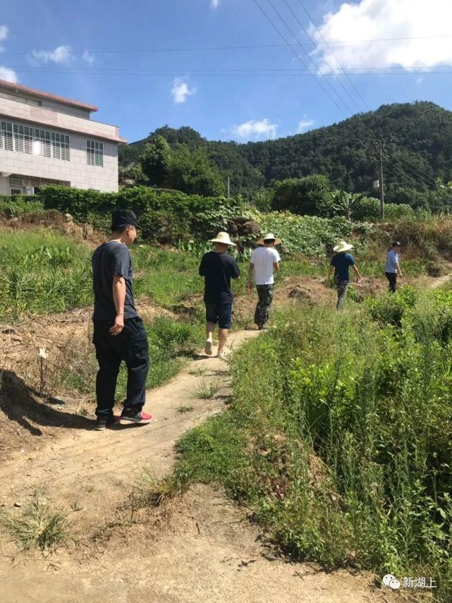 乡镇|【速看】安溪这个乡镇开展统一清查行动了！