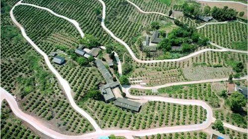  仁寿|仁寿有个村，名字叫“同意”！