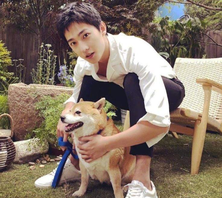  杨洋|《元气满满的哥哥》官宣，杨洋终于要营业了！这下收视率稳了