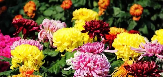  在乎|心中想着你，因为在乎，所以难忘