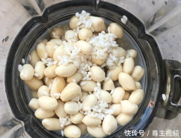 营养|花生加大米,教你自制“花生露”,简单易做,香浓顺滑营养高