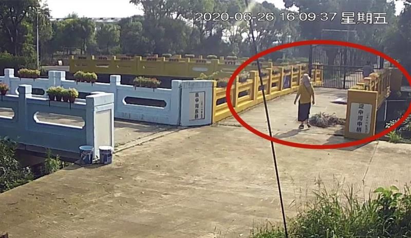  抓获|园内蓝莓屡屡被盗，警方快侦快破抓获窃贼